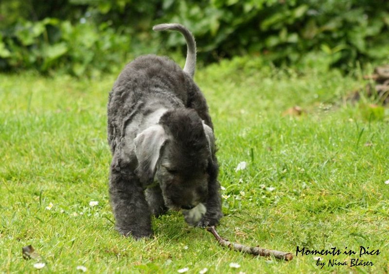 Antares 2009-07-12 (10).JPG